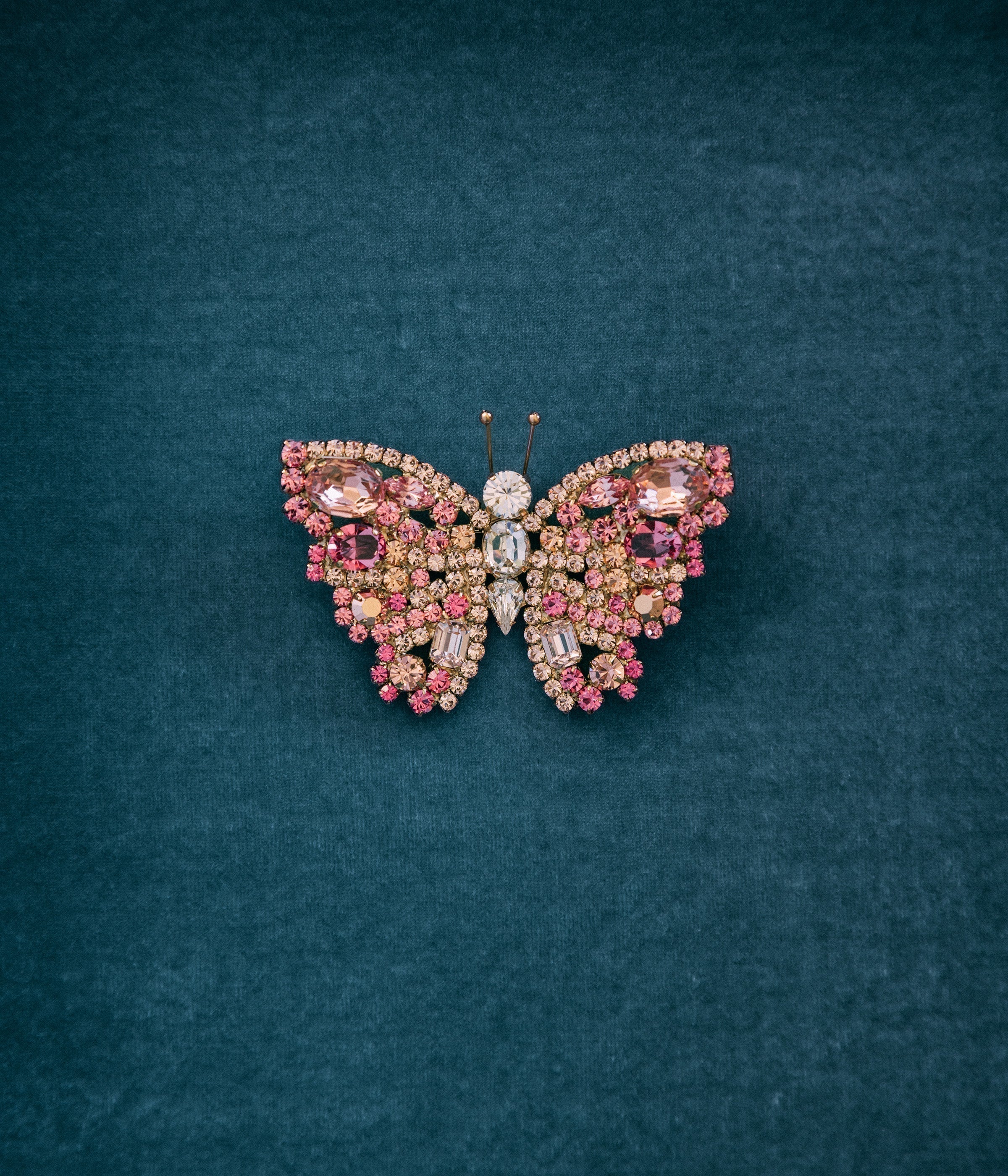 A Symbol of Change: Announcing Our New Limited Edition Butterflies