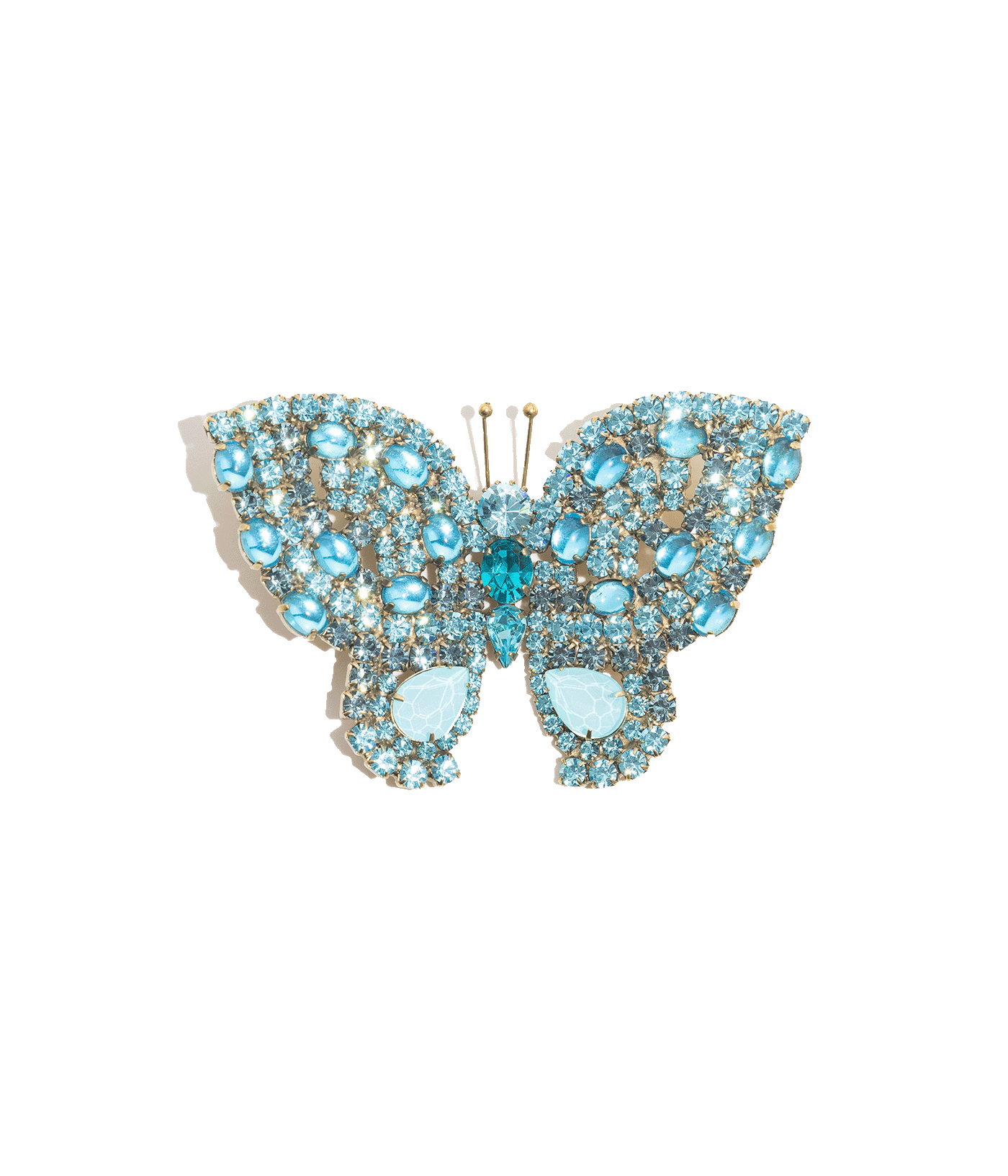 Large Butterfly in Aqua