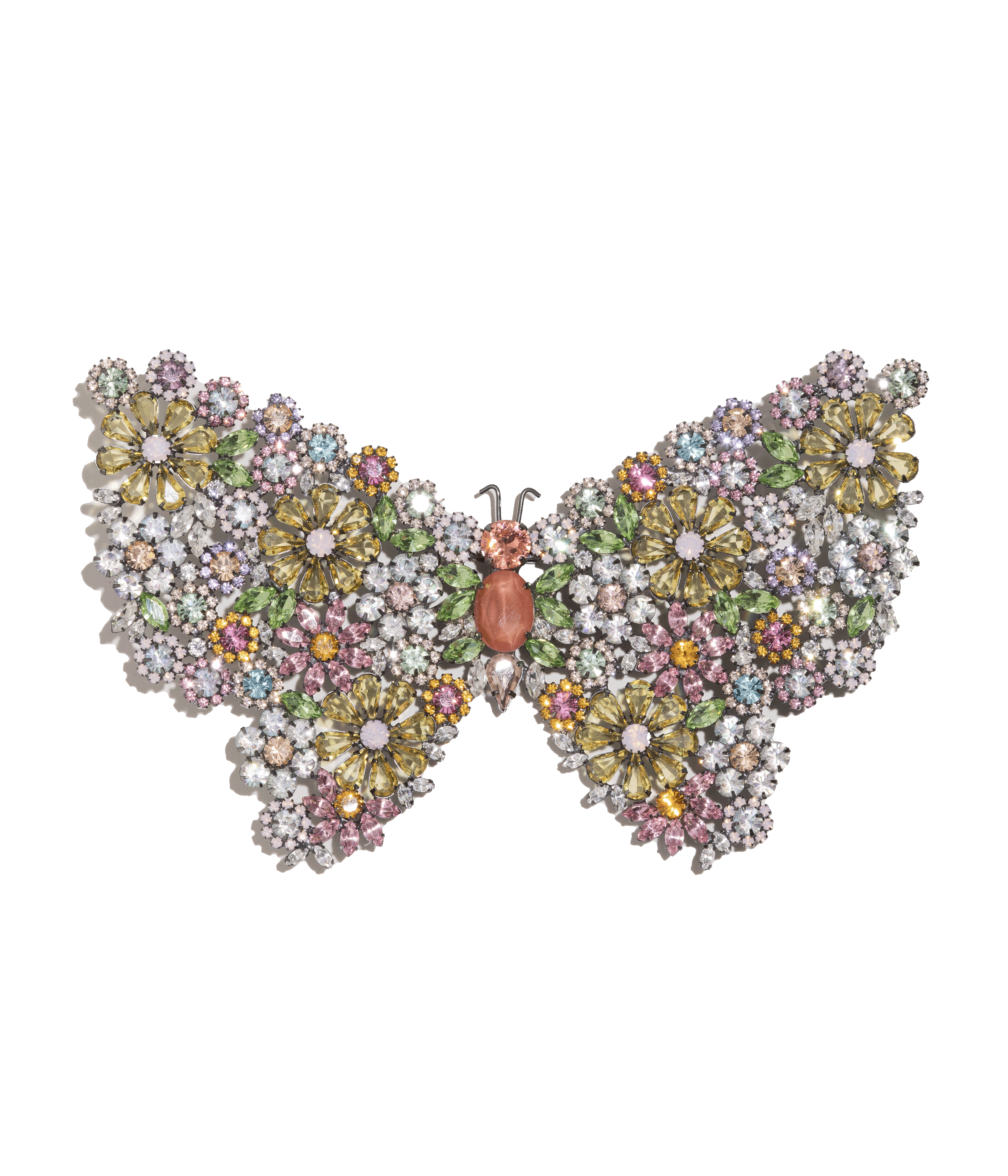 Large Empress Butterfly in Floral Rainbow